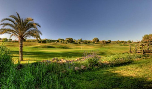 Das Boavista Golf und Spa Resort bietet auch einen schönen Golfplatz, der durch das Resort verläuft