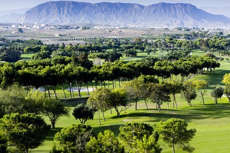 Alicante El Plantio Golfplatz Alicante El Plantio Golfplatz